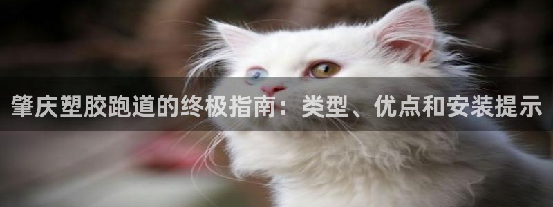 谈球吧平台黑吗?：肇庆塑胶跑道的终极指南：类型、优点