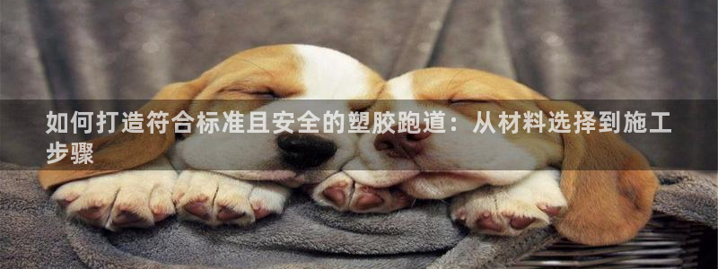 谈球吧体育app官网：如何打造符合标准且安全的塑胶跑道：从材料选择到施工
步骤