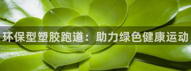 谈球吧体育app下载官网手机版苹果：环保型塑胶跑道：助力绿色健康运动