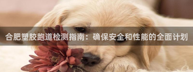 谈球吧言网入口：合肥塑胶跑道检测指南：确保安全和性能的全面计划