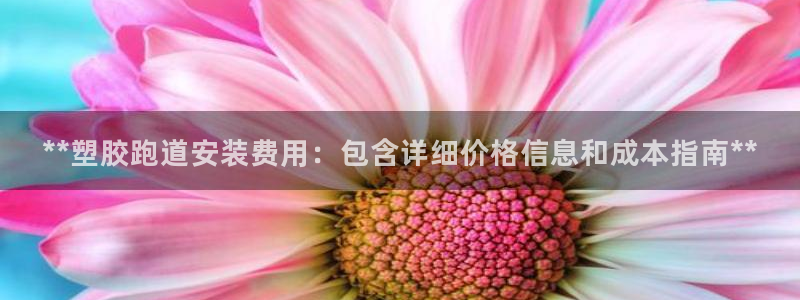 谈球吧在线登录免费观看：**塑胶跑道安装费用：包含详细价格信息和成本指南**
