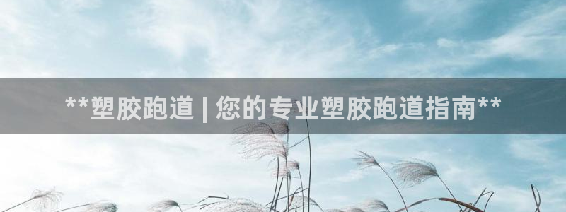 谈球吧电子app：**塑胶跑道 | 您的专业塑胶跑道指南**