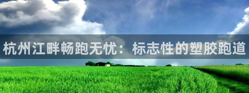 谈球吧体育app下载足球直播：杭州江畔畅跑无忧：标志性的塑胶跑道