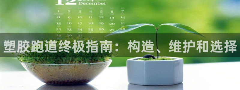 谈球吧网址：塑胶跑道终极指南：构造、维护和选择