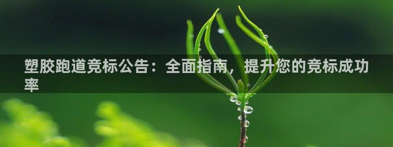 谈球吧能提现不：塑胶跑道竞标公告：全面指南，提升您的