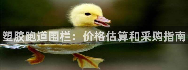 谈球吧官网在线入口手机版下载：塑胶跑道围栏：价格估算