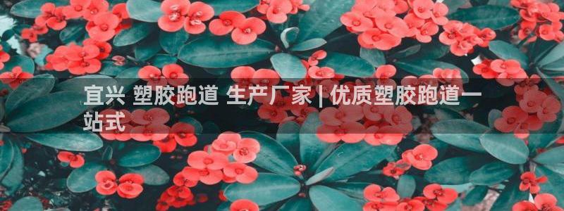 谈球吧平台正规吗可靠吗安全吗：宜兴 塑胶跑道 生产厂家 | 优质塑胶跑道一
站式