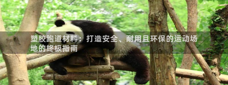 谈球吧体育app官网下载：塑胶跑道材料：打造安全、耐用且环保的运动场
地的终极指南