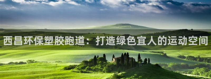 谈球吧体育app下载足球：西昌环保塑胶跑道：打造绿色宜人的运动空间