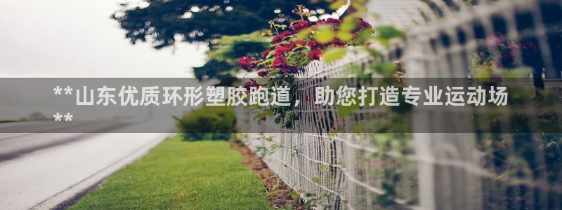 谈球吧网页版在线入口：**山东优质环形塑胶跑道，助您打造专业运动场
**
