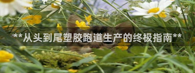 谈球吧App：**从头到尾塑胶跑道生产的终极指南**