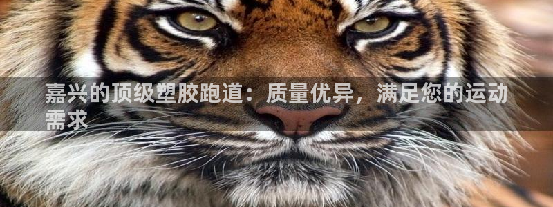 谈球吧官方网站：嘉兴的顶级塑胶跑道：质量优异，满足您的运动
需求