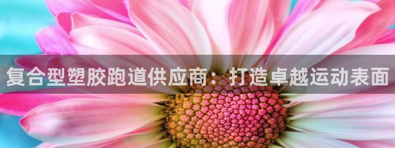 谈球吧app官网下载安卓：复合型塑胶跑道供应商：打造卓越运动表面
