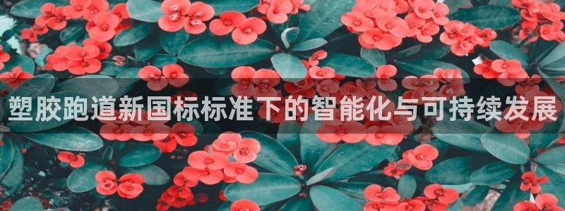 谈球吧官网在线入口免费观看高清视频：塑胶跑道新国标标准下的智能化与可持续发展