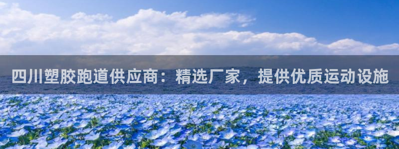 谈球吧网页版在线入口：四川塑胶跑道供应商：精选厂家，提供优质运动设施
