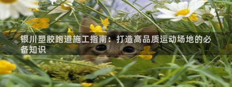 谈球吧官网app：银川塑胶跑道施工指南：打造高品质运动场地的必
备知识
