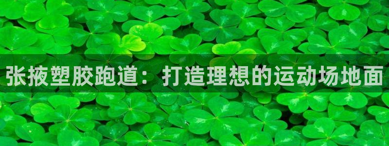 谈球吧：张掖塑胶跑道：打造理想的运动场地面