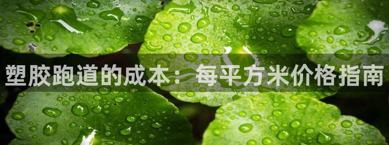 谈球吧官方网站：塑胶跑道的成本：每平方米价格指南