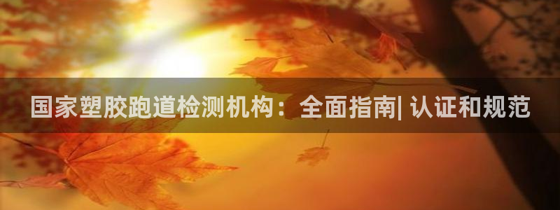 谈球吧体育app下载官网手机版：国家塑胶跑道检测机构：全面指南| 认证和规范