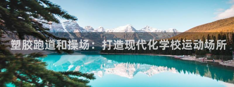 谈球吧属于哪个旗下： 塑胶跑道和操场：打造现代化学校运动场所