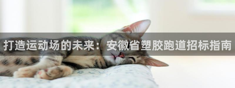 谈球吧红包码：打造运动场的未来：安徽省塑胶跑道招标指