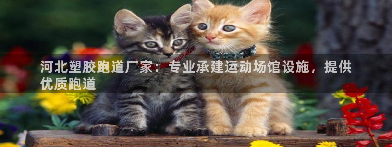 谈球吧的聊天软件有哪些：河北塑胶跑道厂家：专业承建运动场馆设施，提供
优质跑道