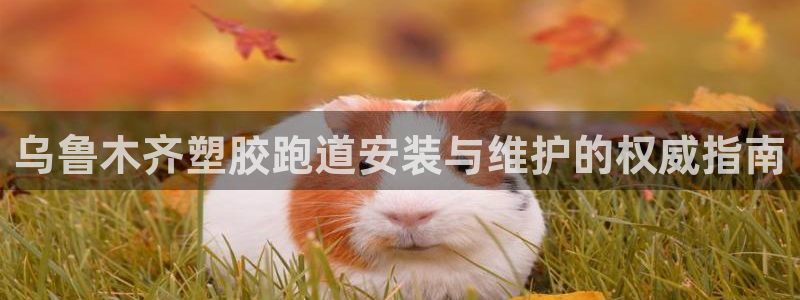 谈球吧平台正规吗可靠吗安全吗：乌鲁木齐塑胶跑道安装与