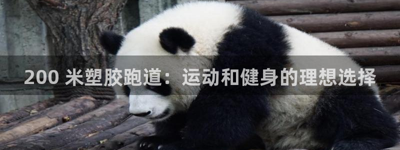 谈球吧app官方下载：200 米塑胶跑道：运动和健身的理想选择