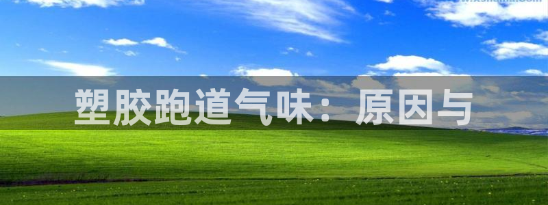谈球吧综合官网app