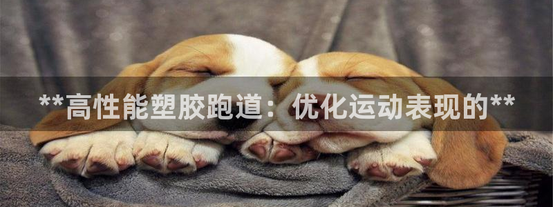 谈球吧官网在线入口手机版下载安装：**高性能塑胶跑道：优化运动表现的**