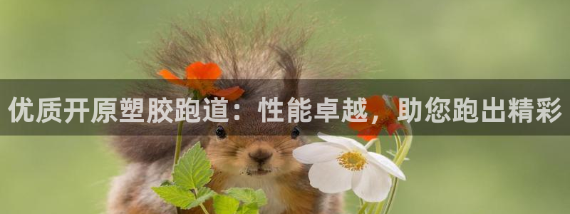 谈球吧与普通平台对比：优质开原塑胶跑道：性能卓越，助您跑出精彩