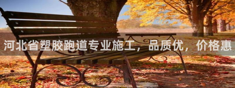谈球吧网址：河北省塑胶跑道专业施工，品质优，价格惠