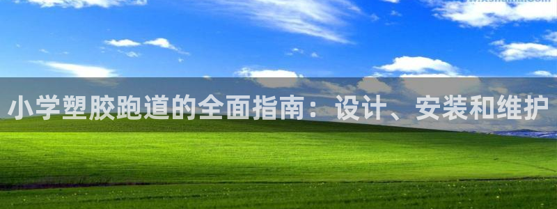谈球吧体育app下载官网：小学塑胶跑道的全面指南：设