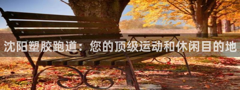 谈球吧是否诈骗：沈阳塑胶跑道：您的顶级运动和休闲目的地
