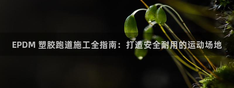 谈球吧算违法行为吗知乎：EPDM 塑胶跑道施工全指南