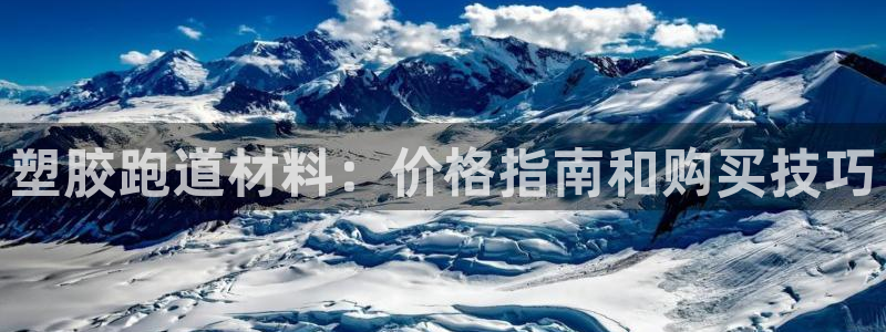谈球吧中国官方网站：塑胶跑道材料：价格指南和购买技巧