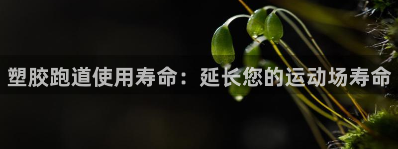 谈球吧体育app下载官网：塑胶跑道使用寿命：延长您的运动场寿命
