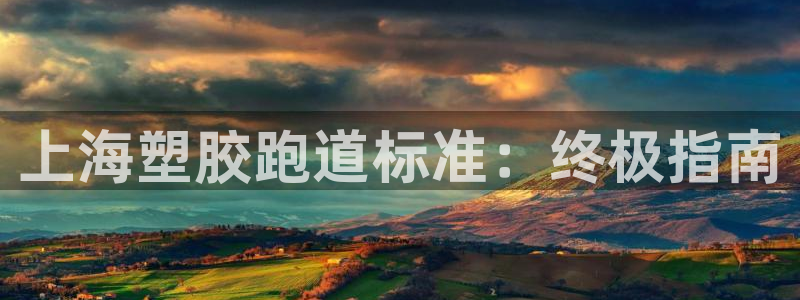 谈球吧nba：上海塑胶跑道标准：终极指南