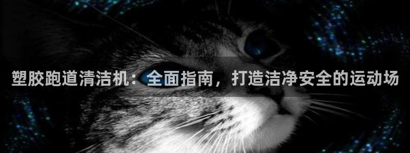谈球吧怎么充值：塑胶跑道清洁机：全面指南，打造洁净安全的运动场