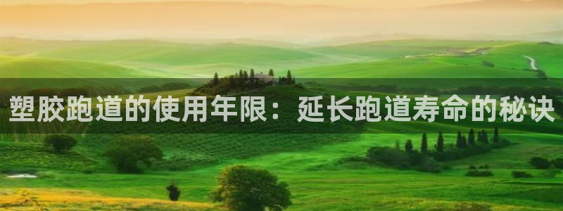 谈球吧app赛事分析：塑胶跑道的使用年限：延长跑道寿命的秘诀