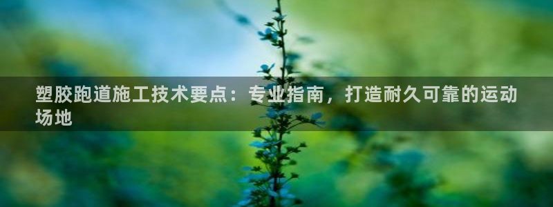 谈球吧言网入口：塑胶跑道施工技术要点：专业指南，打造耐久可靠的运动
场地