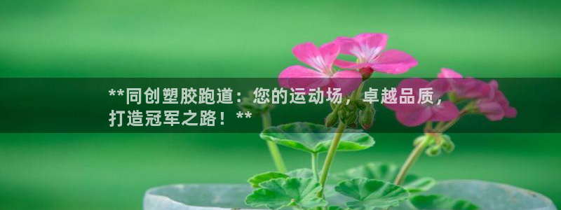 谈球吧的聊天软件：**同创塑胶跑道：您的运动场，卓越品质，
打造冠军之路！**