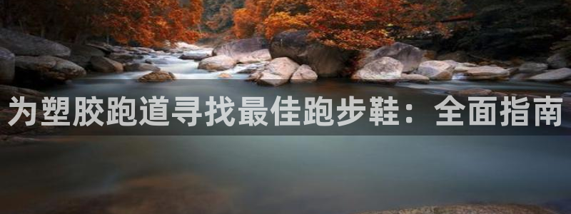 谈球吧官网在线入口手机版免费下载：为塑胶跑道寻找最佳跑步鞋：全面指南