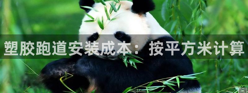 谈球吧App：塑胶跑道安装成本：按平方米计算