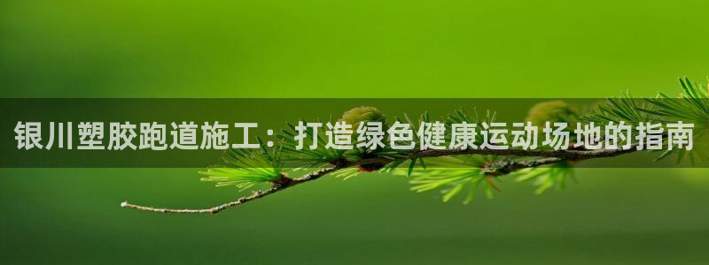 谈球吧属于哪个旗下的品牌：银川塑胶跑道施工：打造绿色健康运动场地的指南