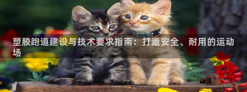 谈球吧官网提款不了：塑胶跑道建设与技术要求指南：打造安全、耐用的运动
场
