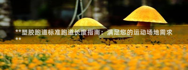 谈球吧tvt：**塑胶跑道标准跑道长度指南：满足您的运动场地需求
**