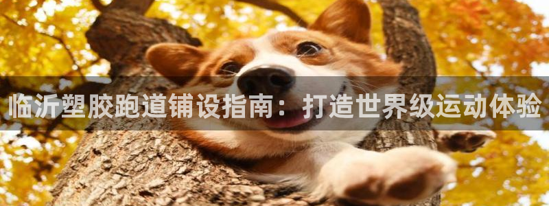 谈球吧官网入口在线观看：临沂塑胶跑道铺设指南：打造世界级运动体验