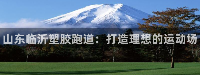谈球吧官网在线入口手机版：山东临沂塑胶跑道：打造理想的运动场
