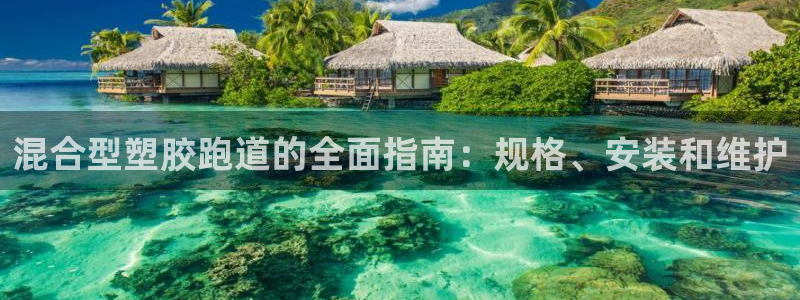 谈球吧在线观看：混合型塑胶跑道的全面指南：规格、安装和维护